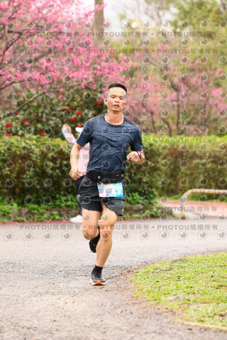 2026左岸竹東櫻花馬拉松Zhudong Sakura Marathon