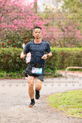 2026左岸竹東櫻花馬拉松Zhudong Sakura Marathon