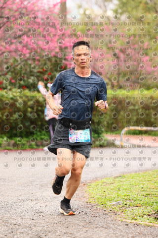 2026左岸竹東櫻花馬拉松Zhudong Sakura Marathon