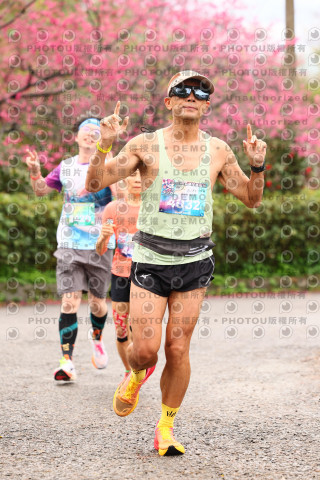 2026左岸竹東櫻花馬拉松Zhudong Sakura Marathon