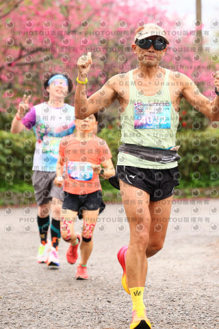 2026左岸竹東櫻花馬拉松Zhudong Sakura Marathon