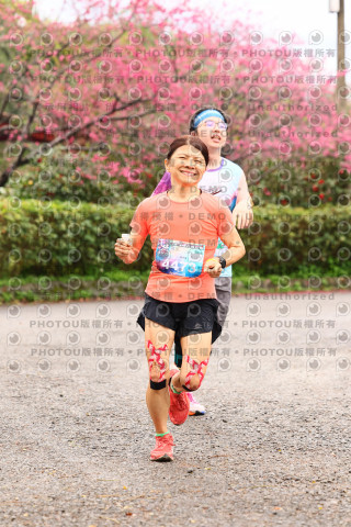 2026左岸竹東櫻花馬拉松Zhudong Sakura Marathon