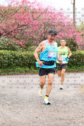 2026左岸竹東櫻花馬拉松Zhudong Sakura Marathon