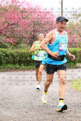 2026左岸竹東櫻花馬拉松Zhudong Sakura Marathon