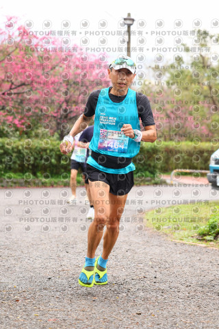 2026左岸竹東櫻花馬拉松Zhudong Sakura Marathon