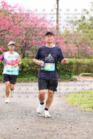2026左岸竹東櫻花馬拉松Zhudong Sakura Marathon