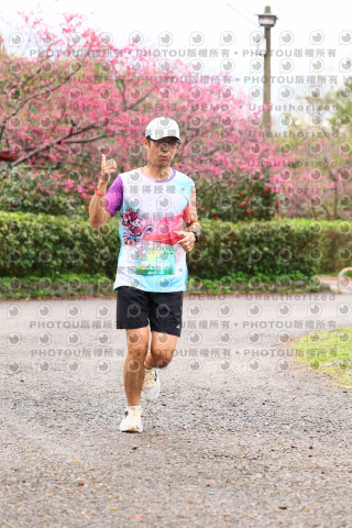 2026左岸竹東櫻花馬拉松Zhudong Sakura Marathon