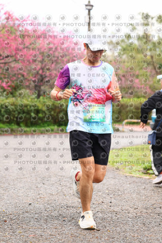 2026左岸竹東櫻花馬拉松Zhudong Sakura Marathon