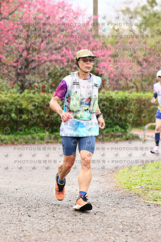 2026左岸竹東櫻花馬拉松Zhudong Sakura Marathon