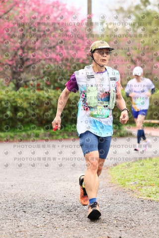 2026左岸竹東櫻花馬拉松Zhudong Sakura Marathon
