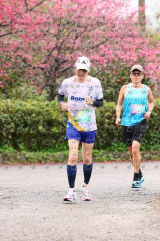 2026左岸竹東櫻花馬拉松Zhudong Sakura Marathon