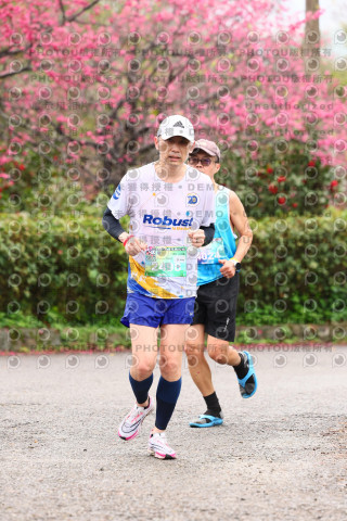 2026左岸竹東櫻花馬拉松Zhudong Sakura Marathon