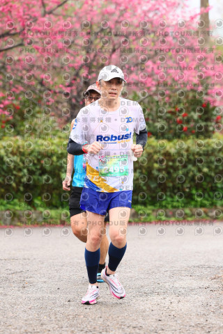 2026左岸竹東櫻花馬拉松Zhudong Sakura Marathon