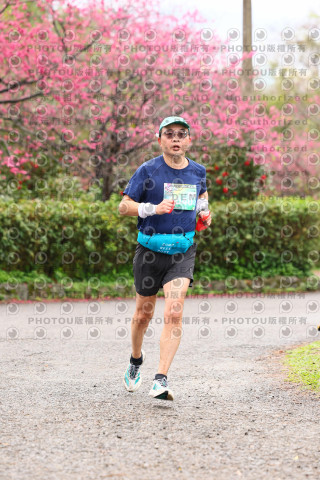 2026左岸竹東櫻花馬拉松Zhudong Sakura Marathon