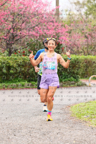 2026左岸竹東櫻花馬拉松Zhudong Sakura Marathon