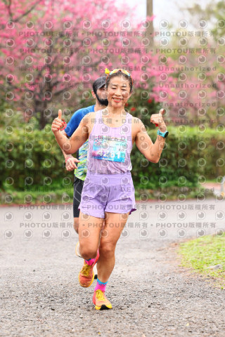 2026左岸竹東櫻花馬拉松Zhudong Sakura Marathon