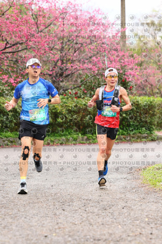 2026左岸竹東櫻花馬拉松Zhudong Sakura Marathon