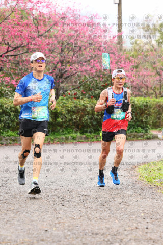 2026左岸竹東櫻花馬拉松Zhudong Sakura Marathon