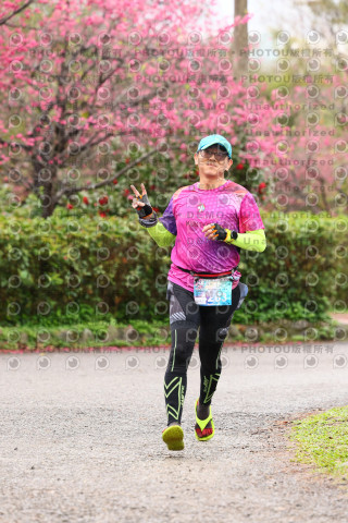 2026左岸竹東櫻花馬拉松Zhudong Sakura Marathon