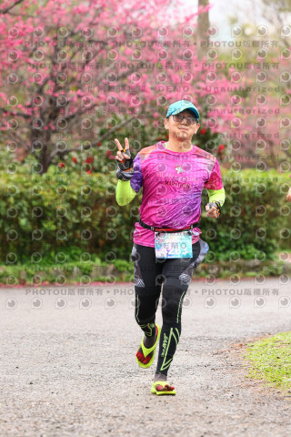 2026左岸竹東櫻花馬拉松Zhudong Sakura Marathon