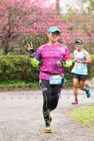 2026左岸竹東櫻花馬拉松Zhudong Sakura Marathon