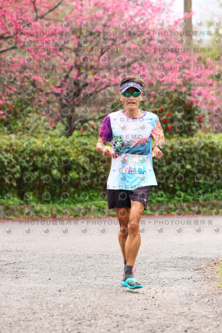 2026左岸竹東櫻花馬拉松Zhudong Sakura Marathon