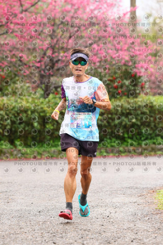 2026左岸竹東櫻花馬拉松Zhudong Sakura Marathon