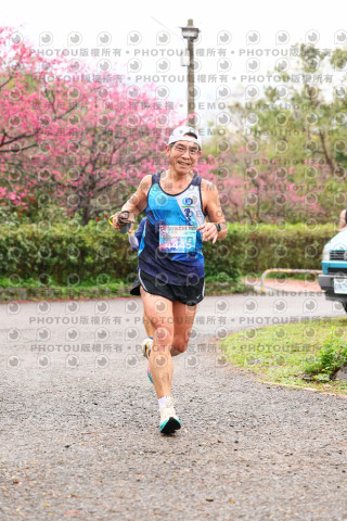 2026左岸竹東櫻花馬拉松Zhudong Sakura Marathon