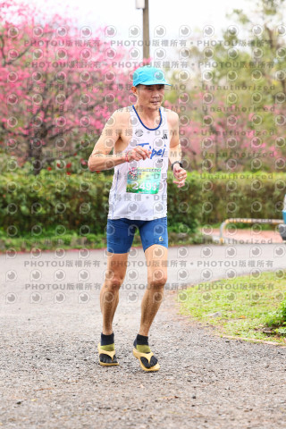 2026左岸竹東櫻花馬拉松Zhudong Sakura Marathon