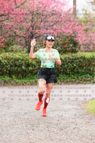 2026左岸竹東櫻花馬拉松Zhudong Sakura Marathon
