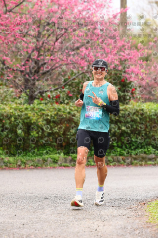 2026左岸竹東櫻花馬拉松Zhudong Sakura Marathon