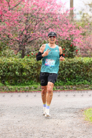 2026左岸竹東櫻花馬拉松Zhudong Sakura Marathon