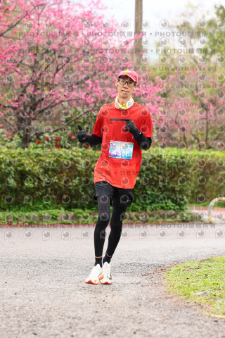 2026左岸竹東櫻花馬拉松Zhudong Sakura Marathon