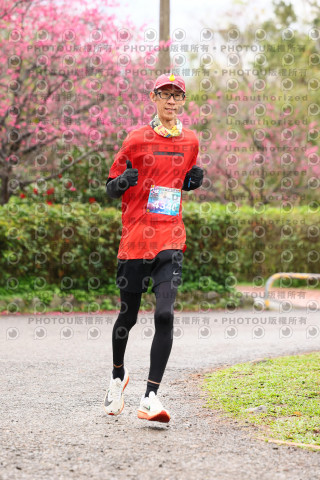 2026左岸竹東櫻花馬拉松Zhudong Sakura Marathon