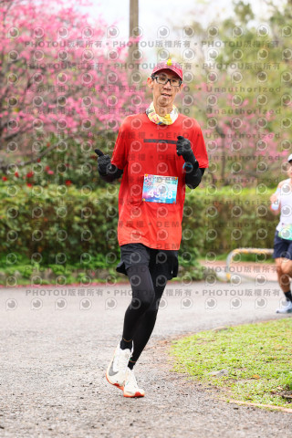 2026左岸竹東櫻花馬拉松Zhudong Sakura Marathon