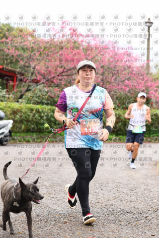 2026左岸竹東櫻花馬拉松Zhudong Sakura Marathon
