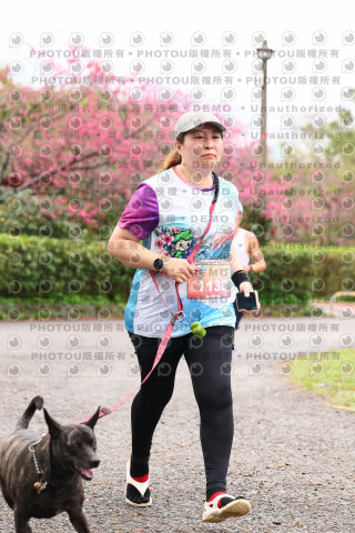 2026左岸竹東櫻花馬拉松Zhudong Sakura Marathon
