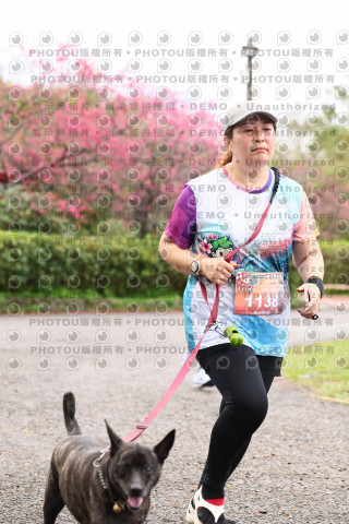 2026左岸竹東櫻花馬拉松Zhudong Sakura Marathon