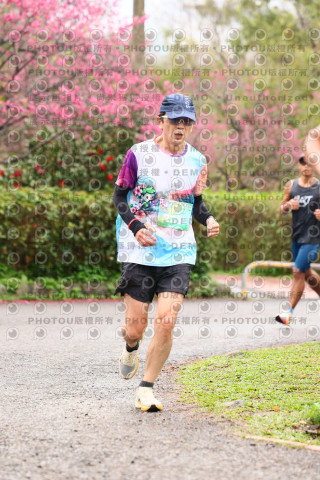 2026左岸竹東櫻花馬拉松Zhudong Sakura Marathon