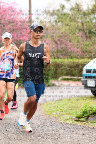 2026左岸竹東櫻花馬拉松Zhudong Sakura Marathon