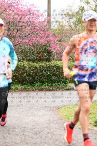 2026左岸竹東櫻花馬拉松Zhudong Sakura Marathon