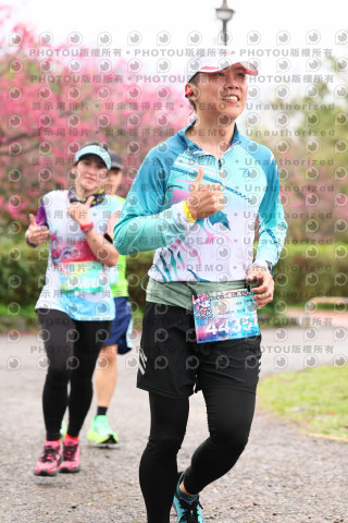2026左岸竹東櫻花馬拉松Zhudong Sakura Marathon