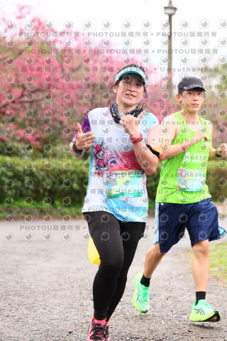 2026左岸竹東櫻花馬拉松Zhudong Sakura Marathon