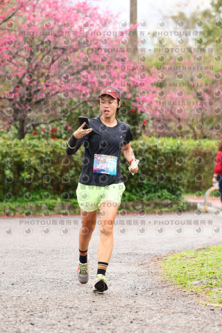 2026左岸竹東櫻花馬拉松Zhudong Sakura Marathon