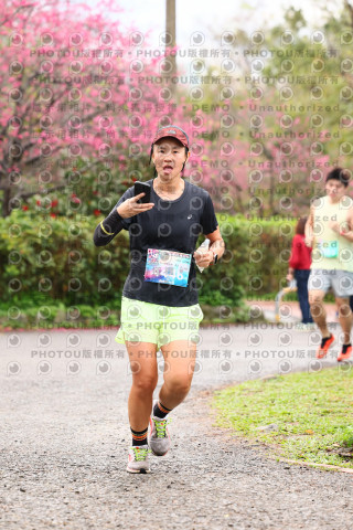 2026左岸竹東櫻花馬拉松Zhudong Sakura Marathon