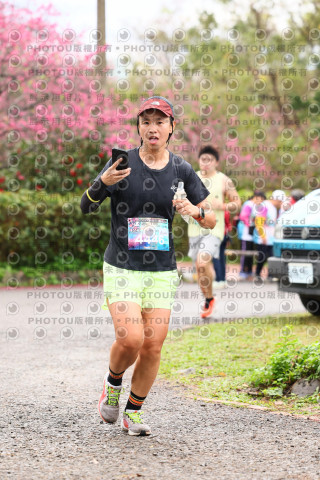2026左岸竹東櫻花馬拉松Zhudong Sakura Marathon
