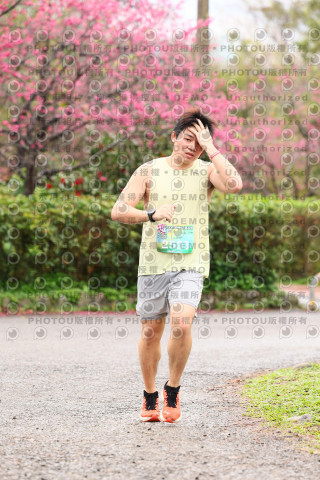2026左岸竹東櫻花馬拉松Zhudong Sakura Marathon