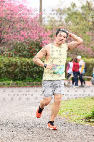 2026左岸竹東櫻花馬拉松Zhudong Sakura Marathon