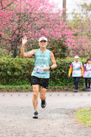 2026左岸竹東櫻花馬拉松Zhudong Sakura Marathon