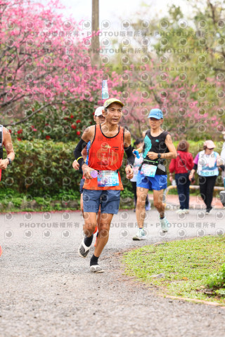2026左岸竹東櫻花馬拉松Zhudong Sakura Marathon